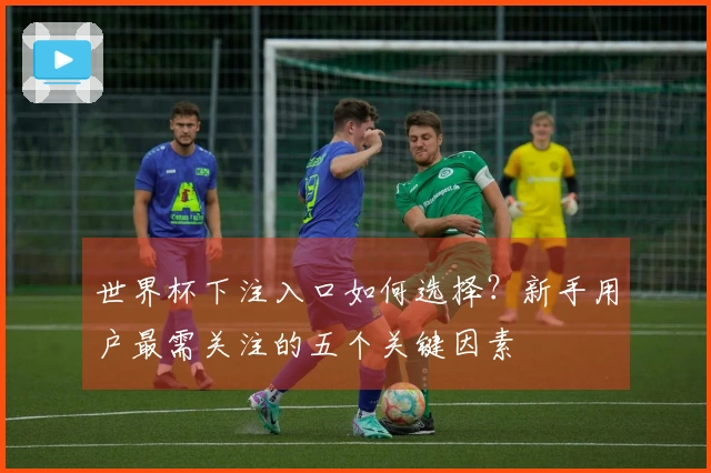 世界杯下注入口如何选择？新手用户最需关注的五个关键因素