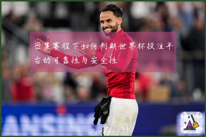 密集赛程下如何判断世界杯投注平台的可靠性与安全性