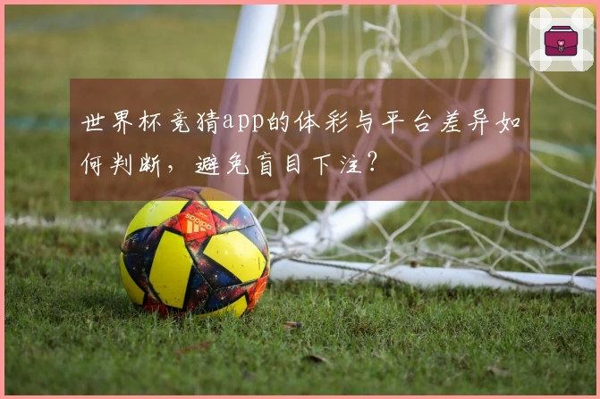 世界杯竞猜app的体彩与平台差异如何判断，避免盲目下注？