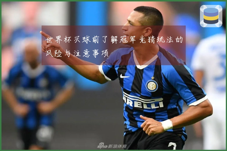 世界杯买球前了解冠军竞猜玩法的风险与注意事项