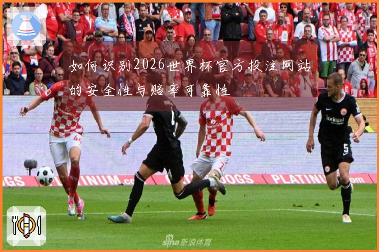 如何识别2026世界杯官方投注网站的安全性与赔率可靠性