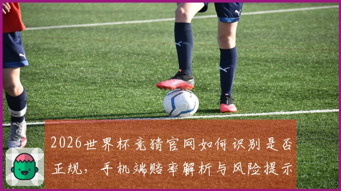 2026世界杯竞猜官网如何识别是否正规，手机端赔率解析与风险提示