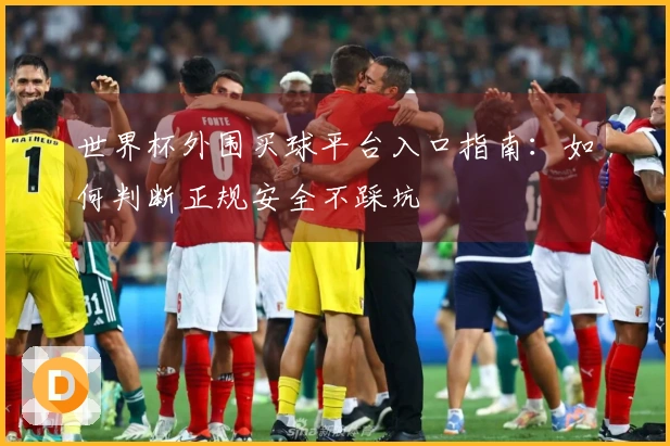 世界杯外围买球平台入口指南：如何判断正规安全不踩坑