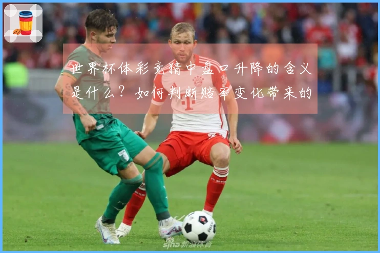 世界杯体彩竞猜中盘口升降的含义是什么？如何判断赔率变化带来的机会和风险
